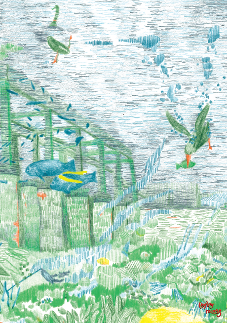 POLYPHONIE AQUATIQUE